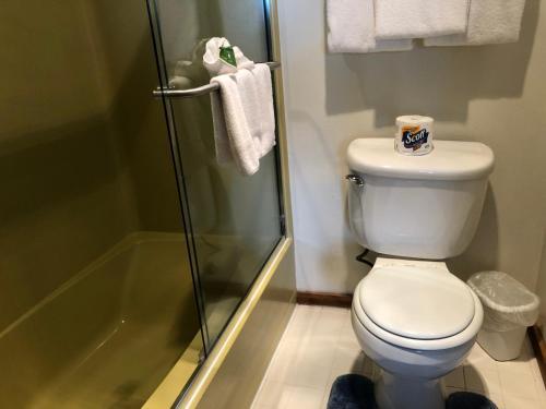 Hotel Webb's Scenic Surf
