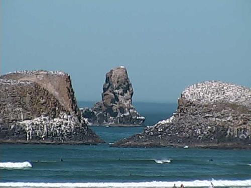 Hotel Webb's Scenic Surf