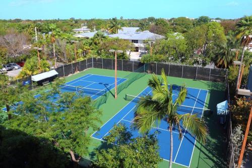 Coconut Palms