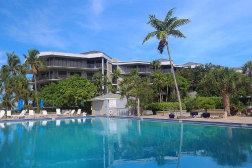 Coconut Palms