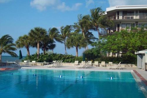 Coconut Palms