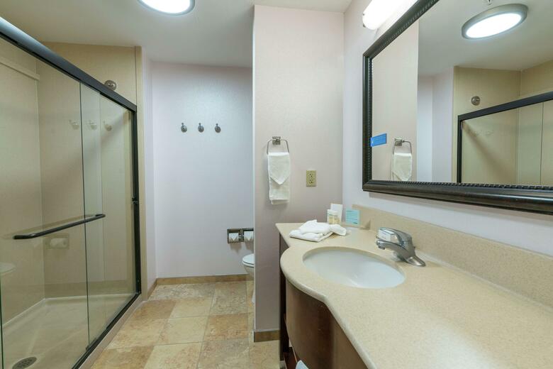 Hotel Hampton Inn Suite Lake City Fl