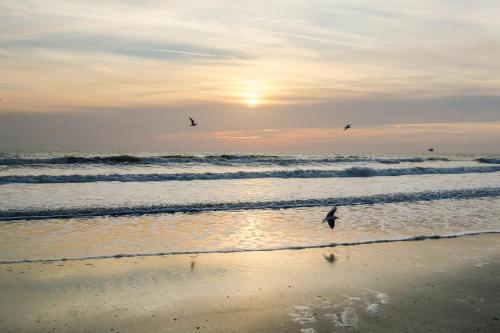 Golden Isles
