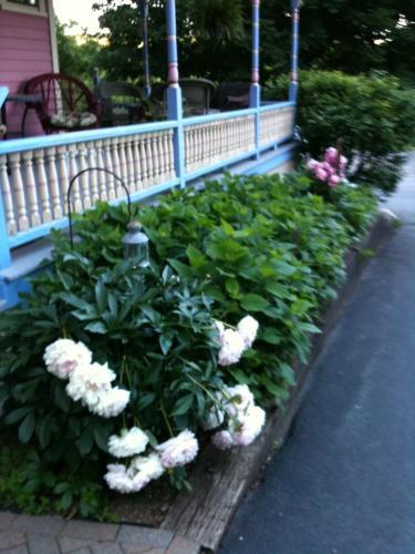 Rose & Thistle Bed & Breakfast