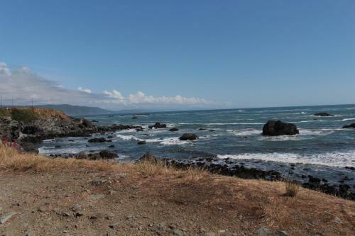 Whales Playground