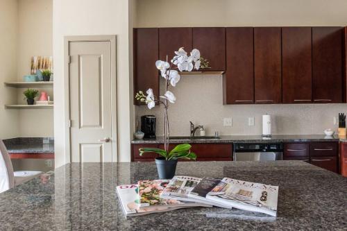 Apartamento Contemporary 1br | Arts + Dining + Shopping