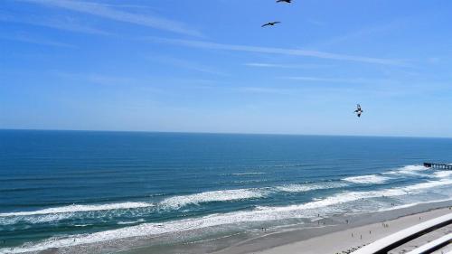 Apartamentos Ocean Walk Resort 1 - Br 1908
