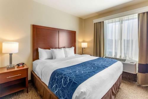 Hotel Comfort Suites Near Denver Downtown