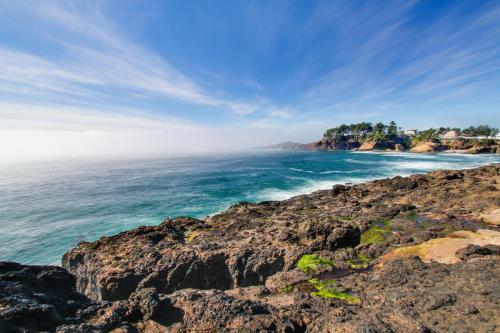 Depoe Bay Delight