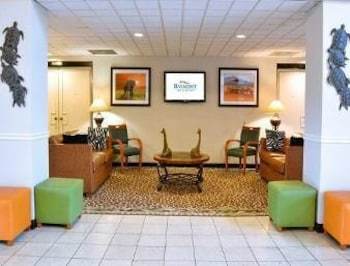 All Suites Hotel Near Usf