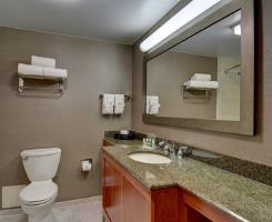 Hotel Holiday Inn Washington Dulles Int L Apt