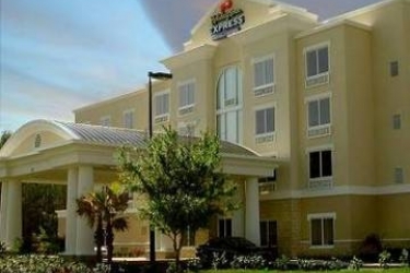 Hotel Holiday Inn Express Tampa Bruce B Downs