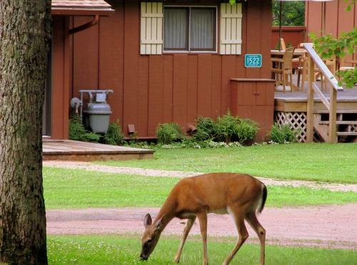 Hotel Lake Forest Resort