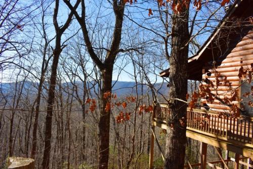 Falling Leaves