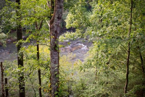 Rushing River Lodge