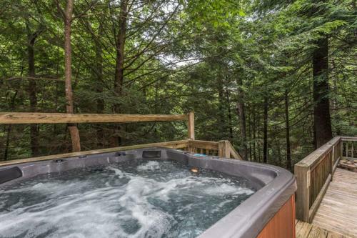 Ellijay Twin Falls