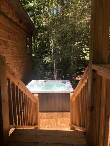 Treetops Retreat