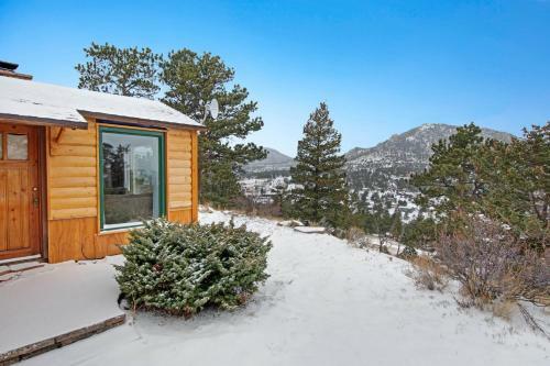 Flower Lane Cabin