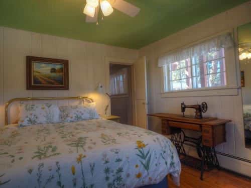 New! Edelweiss Mountain Haus -- E.v. Reg # 3386 Cottage