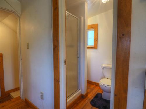 New! Edelweiss Mountain Haus -- E.v. Reg # 3386 Cottage