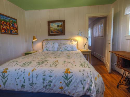 New! Edelweiss Mountain Haus -- E.v. Reg # 3386 Cottage