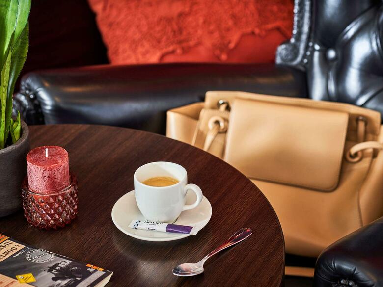Hotel Mercure Paris Plaza Pont Mirabeau