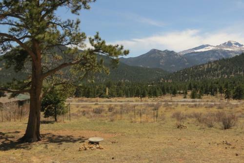 High Drive Cabin 2161