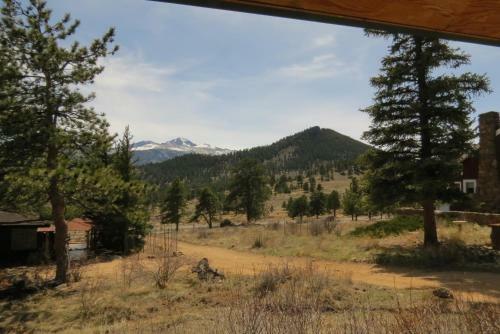 Coyote Cabin