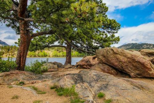 Deer Mountain Rest