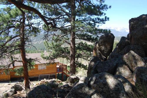 High Pines Cabin