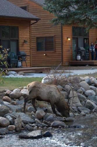 Aparthotel River Stone Resorts