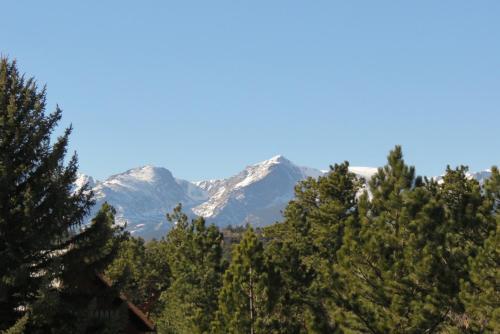 Staghorn Chalet Home