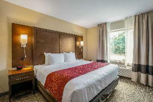 Hotel Comfort Suites