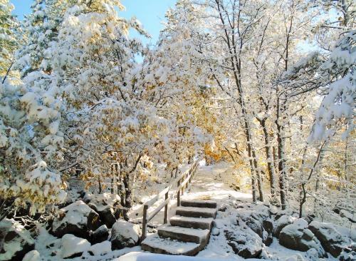 Location! Nature Lovers Getaway - Close To Historic Downtown
