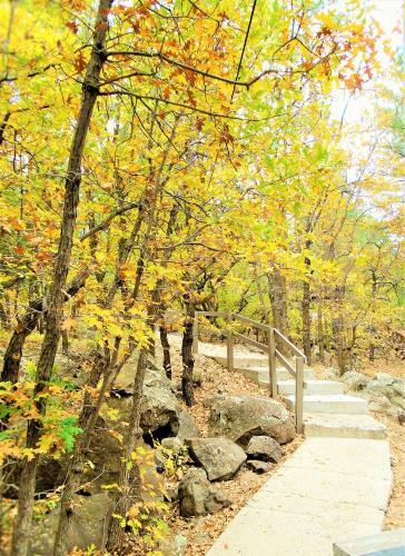 Location! Nature Lovers Getaway - Close To Historic Downtown