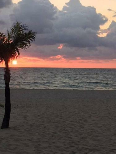 Apartamento Close To Beach/downtown/airport #3