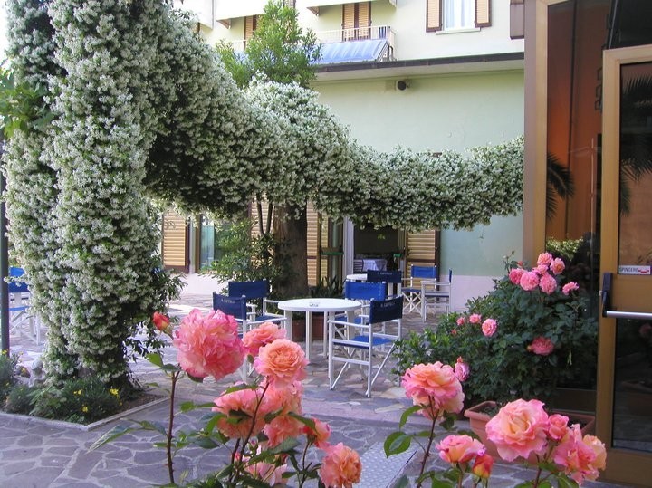 Hotel Cappelli