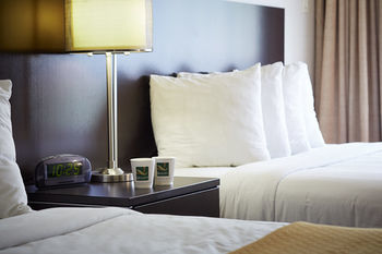 Quality Hotel