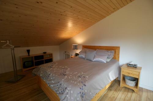 Two Bedroom Cabin - 58mbr