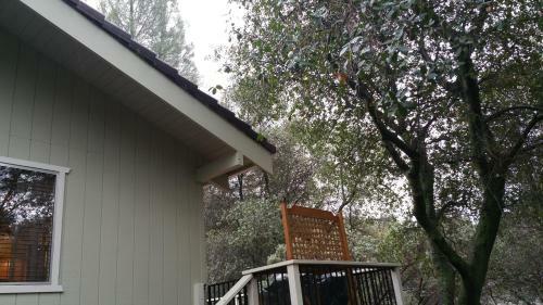 Lovely Mountain Lake Chalet By Yosemite: Equipped!