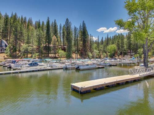 Forest Lookout (04/047)