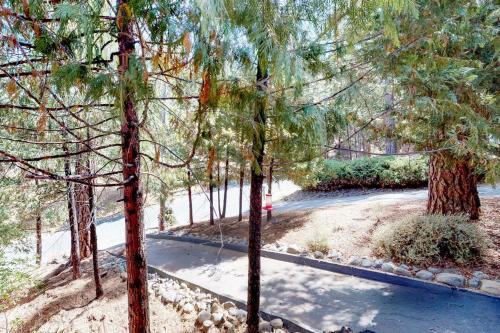 Mountain Crest