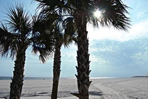 Apartamento Beachview 322 Condo