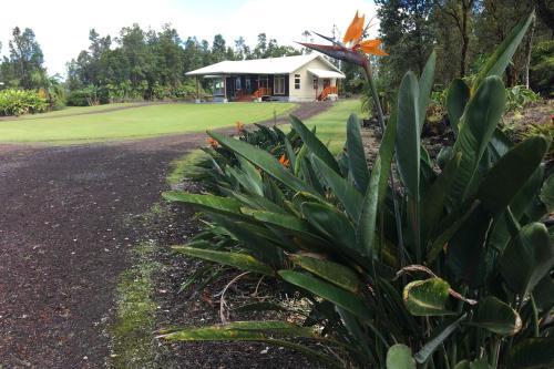 Lyons Estate