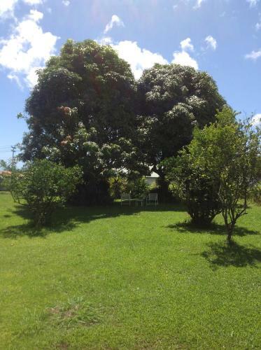Hilo Bed And Breakfast