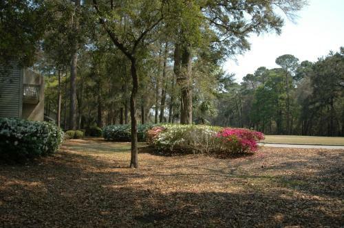Hotel Carolina Club By Spinnaker Resorts