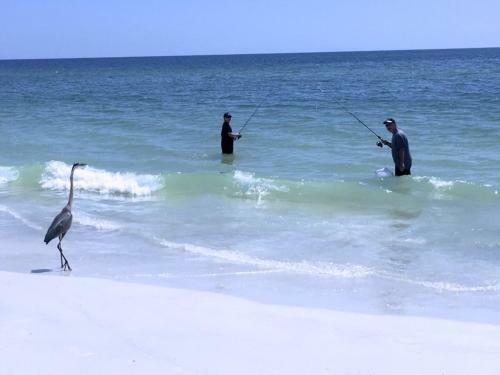Anna Maria Island Beach Paradise 10 Studio Apartment