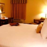 Hotel Hampton Inn Warner Robins
