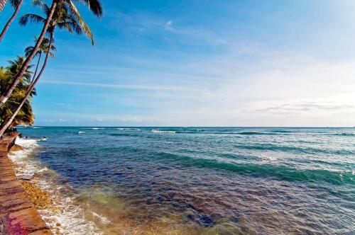 Executive Gold Coast Oceanfront Suite
