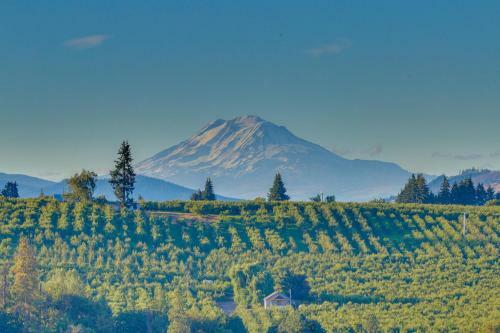 River Song Country Chateau